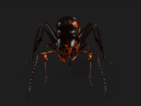 Ant-A2 3D Model