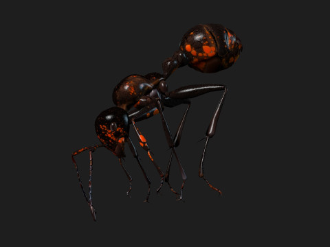 Ant-A2 3D Model