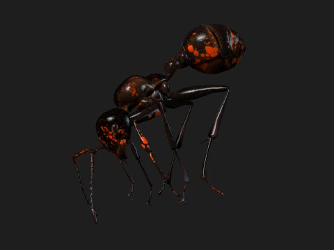Ant-A2 3D Model