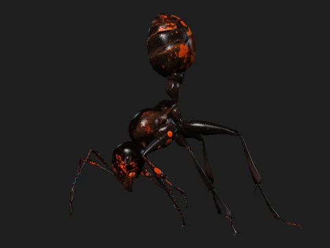 Ant-A2 3D Model
