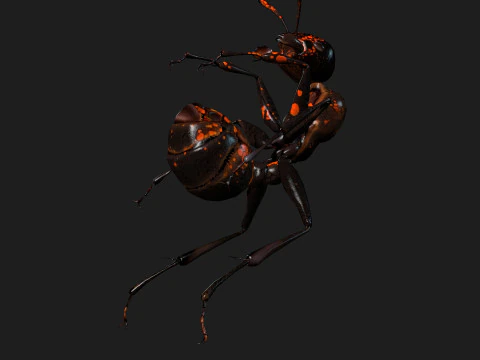 Ant-A2 3D Model