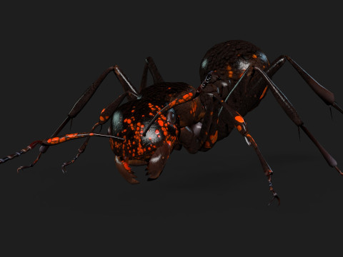 Ant-A2 3D Model