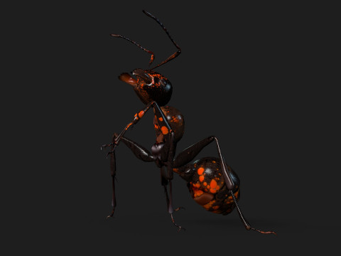 Ant-A2 3D Model