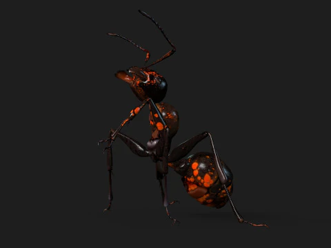 Ant-A2 3D Model