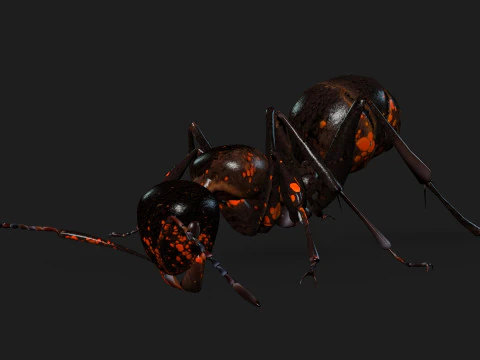 Ant-A2 3D Model