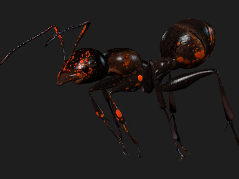 Ant-A2 3D Model