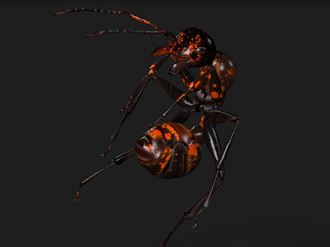 Ant-A2 3D Model