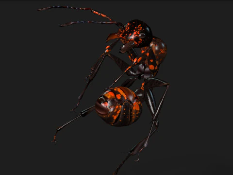 Ant-A2 3D Model