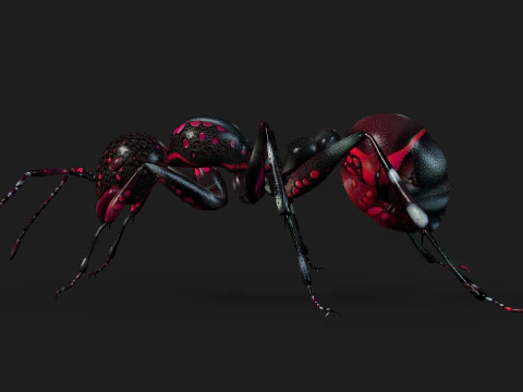 Ant-A3 3D Model