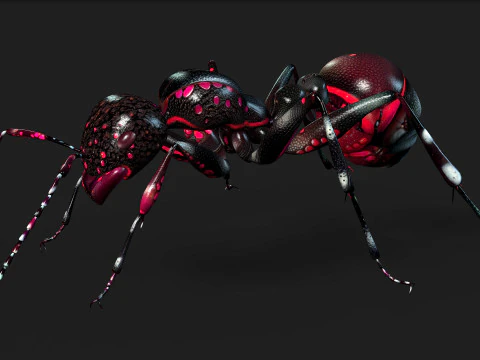 Ant-A3 3D Model