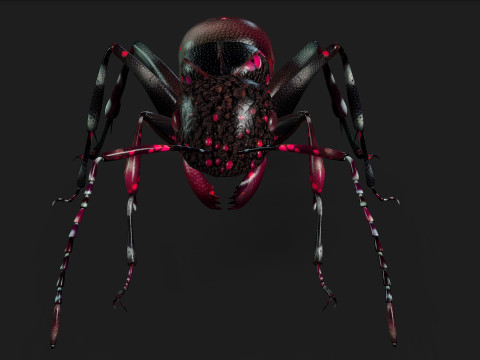 Ant-A3 3D Model