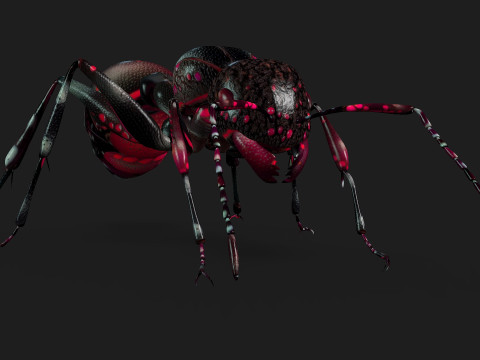 Ant-A3 3D Model
