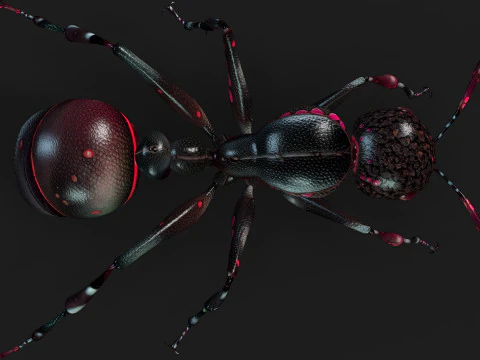 Ant-A3 3D Model
