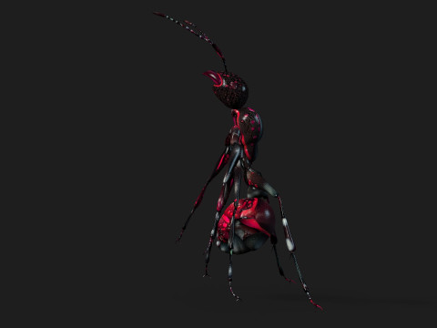 Ant-A3 3D Model