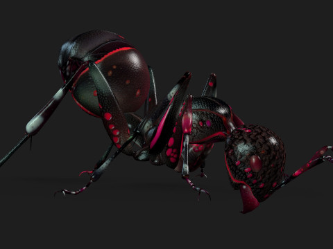 Ant-A3 3D Model