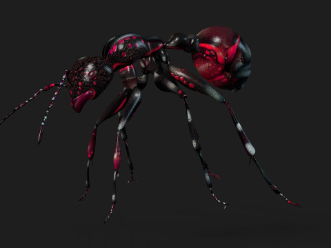 Ant-A3 3D Model