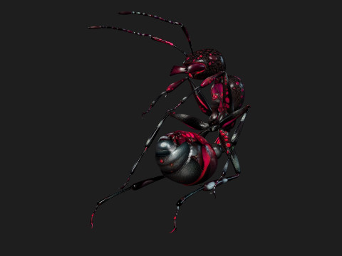 Ant-A3 3D Model
