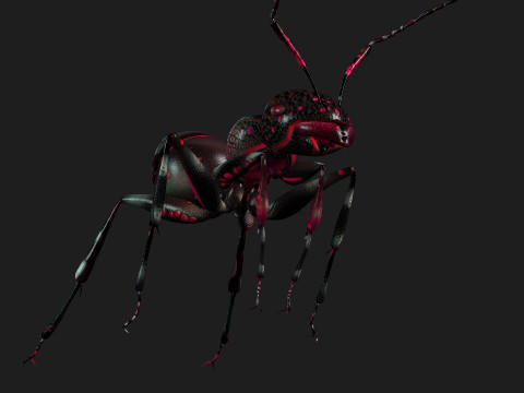 Ant-A3 3D Model