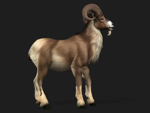 Goat-B1 3D Model
