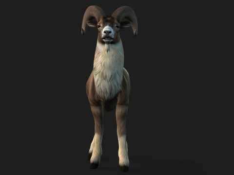 Goat-B1 3D Model