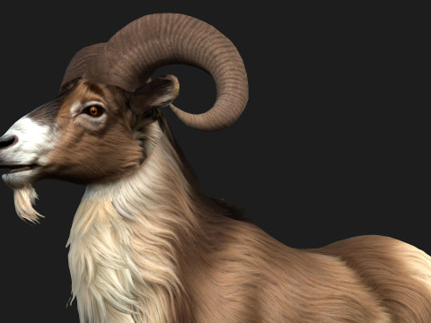 Goat-B1 3D Model