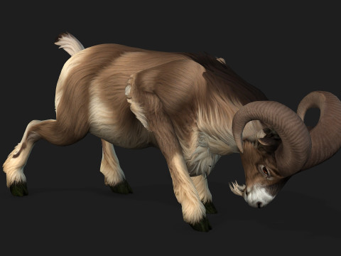 Goat-B1 3D Model