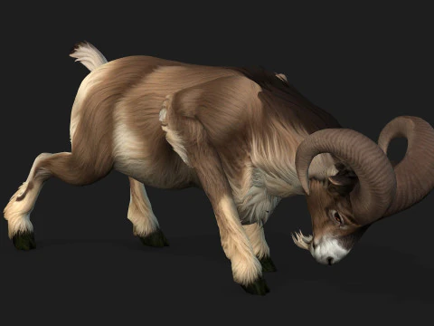 Goat-B1 3D Model