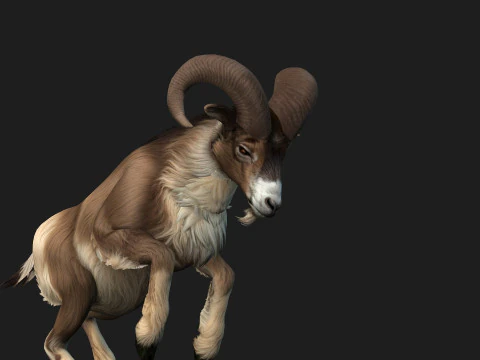 Goat-B1 3D Model