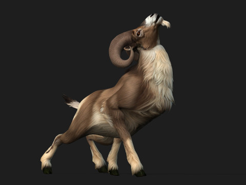 Goat-B1 3D Model