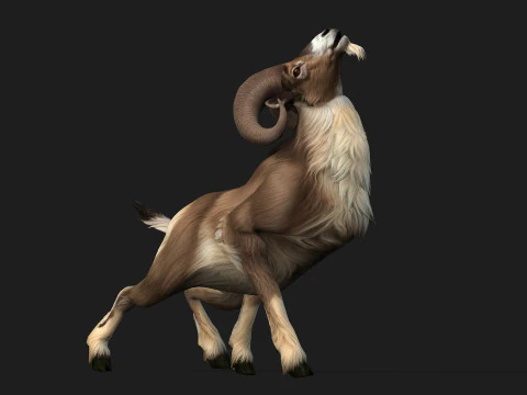Goat-B1 3D Model