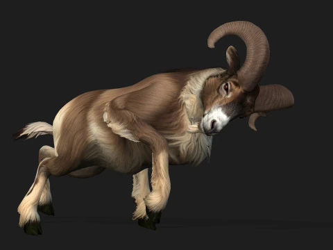 Goat-B1 3D Model