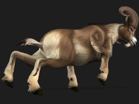 Goat-B1 3D Model