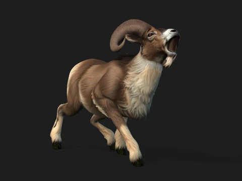 Goat-B1 3D Model