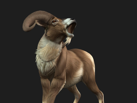 Goat-B1 3D Model