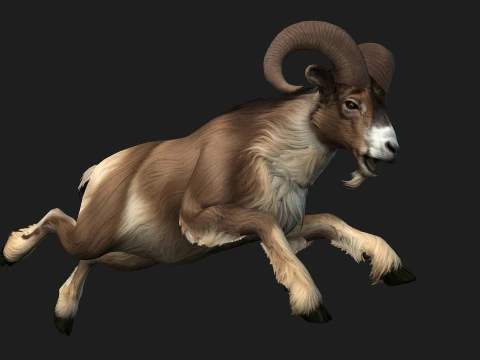 Goat-B1 3D Model