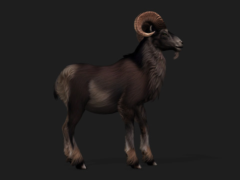 Goat-B2 3D Model