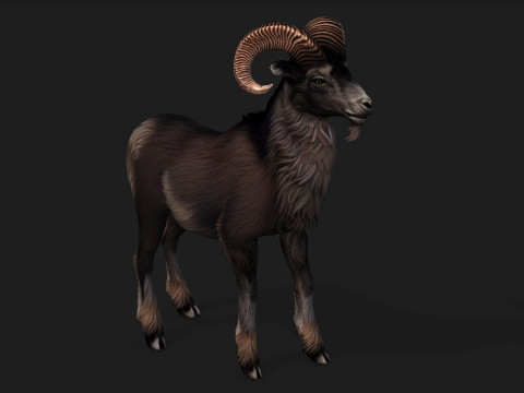 Goat-B2 3D Model