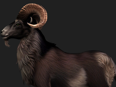 Goat-B2 3D Model