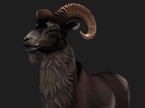 Goat-B2 3D Model