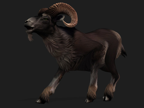 Goat-B2 3D Model