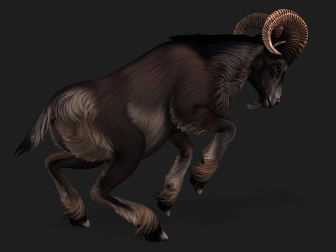 Goat-B2 3D Model