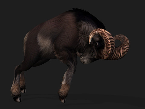 Goat-B2 3D Model