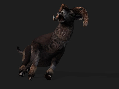 Goat-B2 3D Model