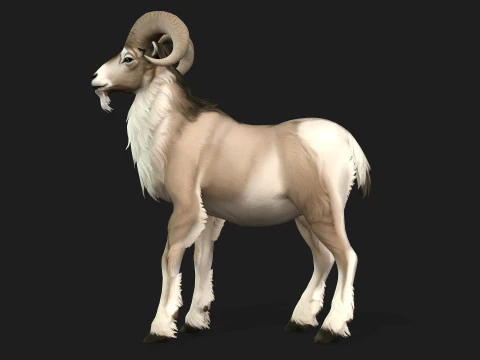 Goat-B3 3D Model