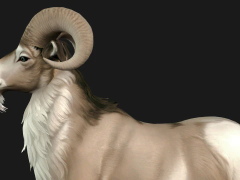 Goat-B3 3D Model