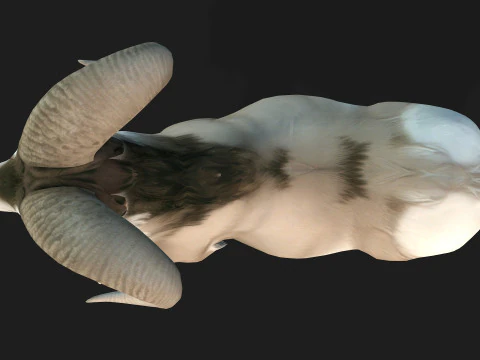 Goat-B3 3D Model