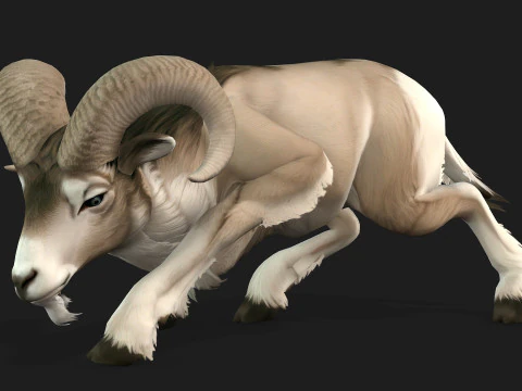 Goat-B3 3D Model