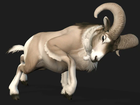 Goat-B3 3D Model