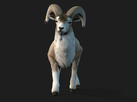 Goat-B3 3D Model