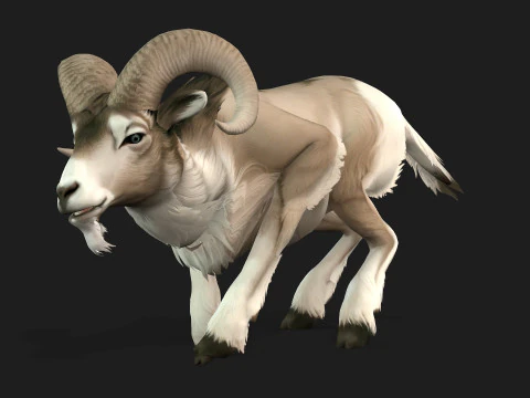 Goat-B3 3D Model
